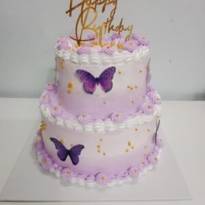 Two tier purple shaded cake with edibles butterflys 2kg